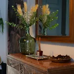 Capsule Camelia Un Charme Montois Mons