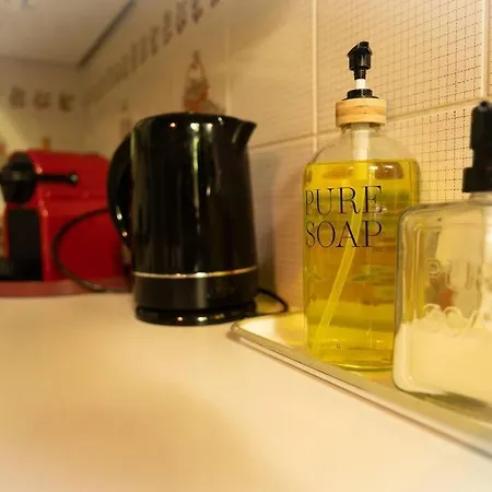 Capsule Camelia Un Charme Montois Mons