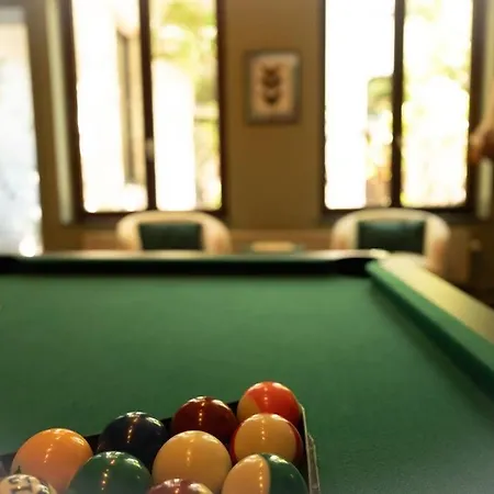 Camelia, Un Charme Montois *