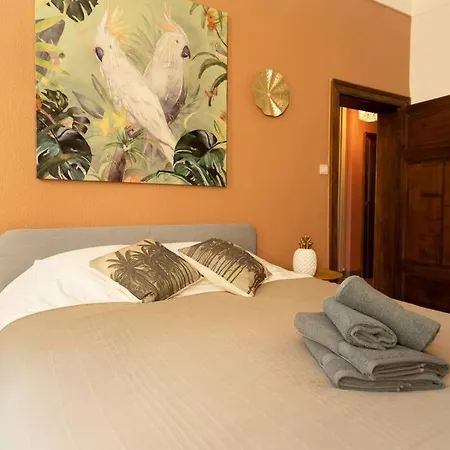 Camelia, Un Charme Montois 蒙斯