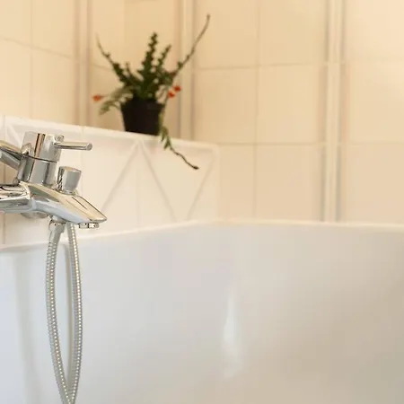 Camelia, Un Charme Montois Mons