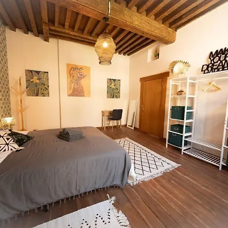 Camelia, Un Charme Montois *