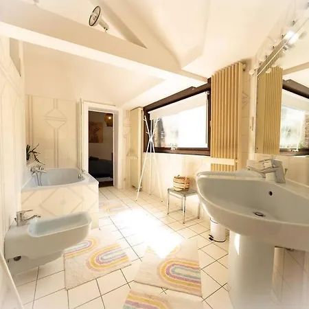 Camelia, Un Charme Montois * Mons