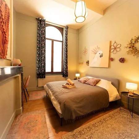 Camelia, Un Charme Montois *