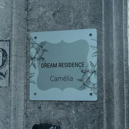Capsule Camelia Un Charme Montois Willa *