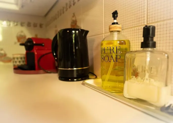 Capsule Camelia Un Charme Montois Mons