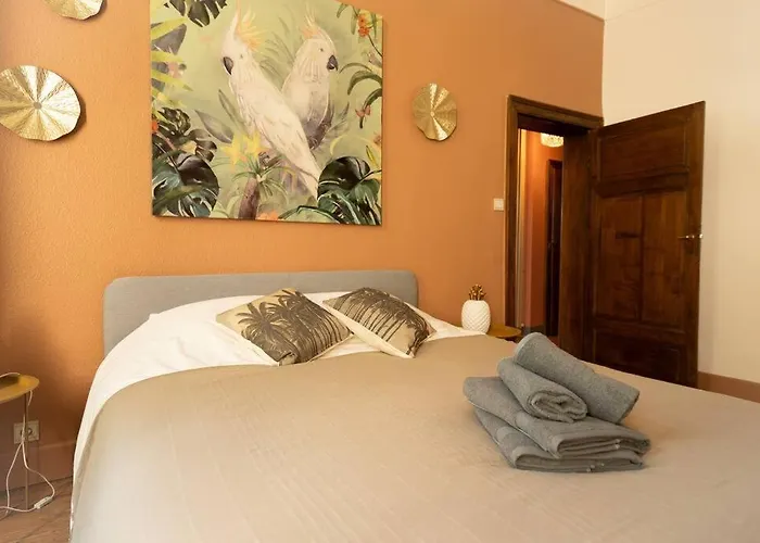 Capsule Camelia Un Charme Montois Mons