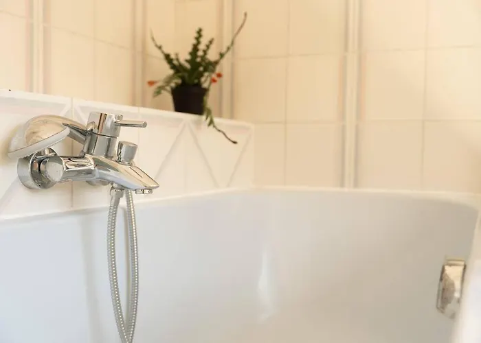 Capsule Camelia Un Charme Montois Mons