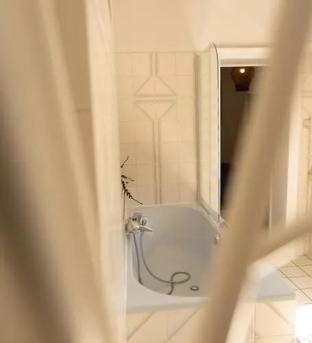 Capsule Camelia Un Charme Montois Villa Mons