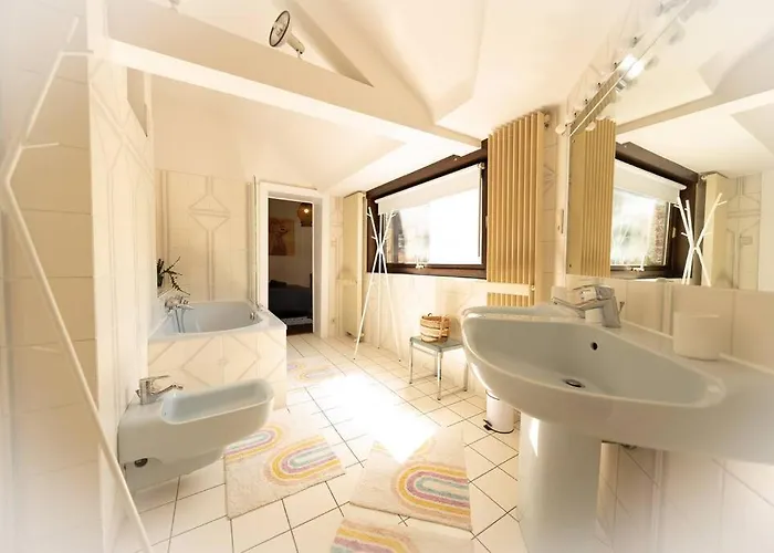 Capsule Camelia Un Charme Montois * Mons