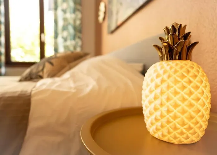 Camelia, Un Charme Montois *