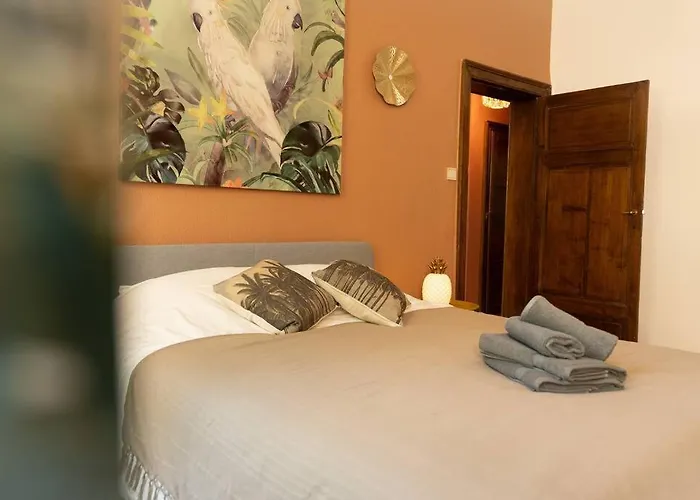 Capsule Camelia Un Charme Montois Mons