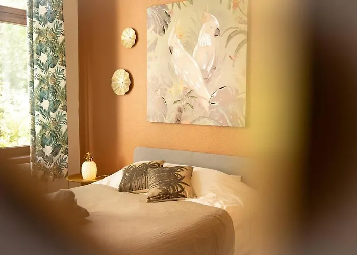 Villa Capsule Camelia Un Charme Montois Mons