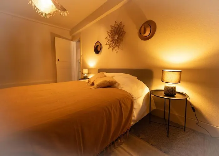 Capsule Camelia Un Charme Montois * Mons